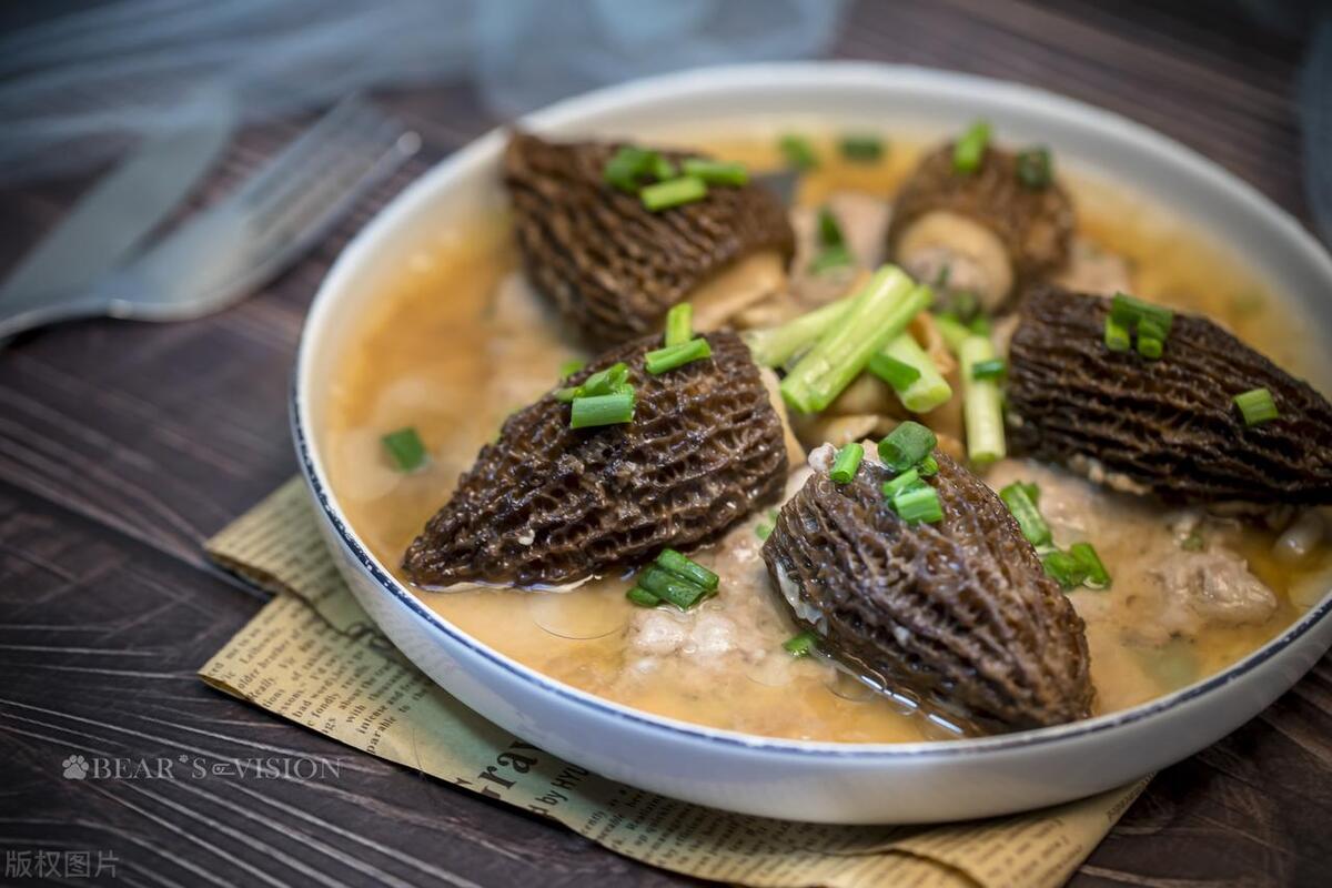 Morel Mushrooms Health Benefits: Unveiling Nature's Healing Secrets