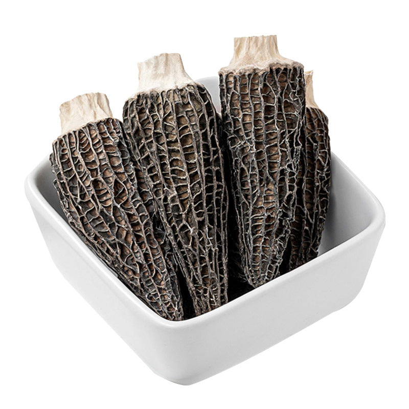 Essential Tools for Morel Mushrooms Cultivation: Building Your Kit