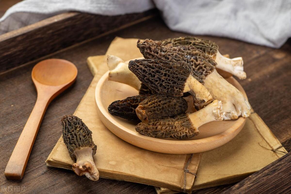 Culinary Extravaganza with Morel Mushrooms: Unique Recipes Revealed