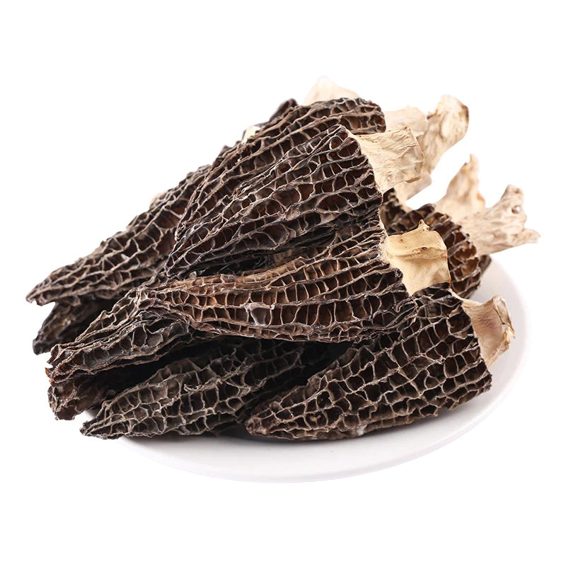 Unveiling the Magic of Morel Mushrooms: A Transformative Journey into Healthful Living