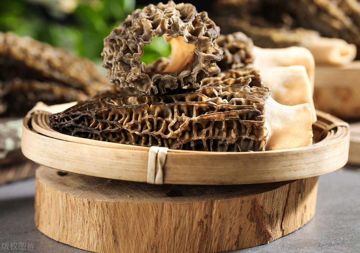 Morel Mushrooms Culinary Innovation - Elevate Your Cooking Game